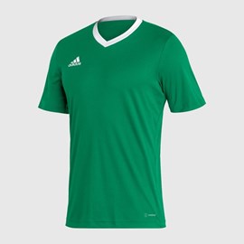 DRES ADIDAS ENTRADA 22 GREEN